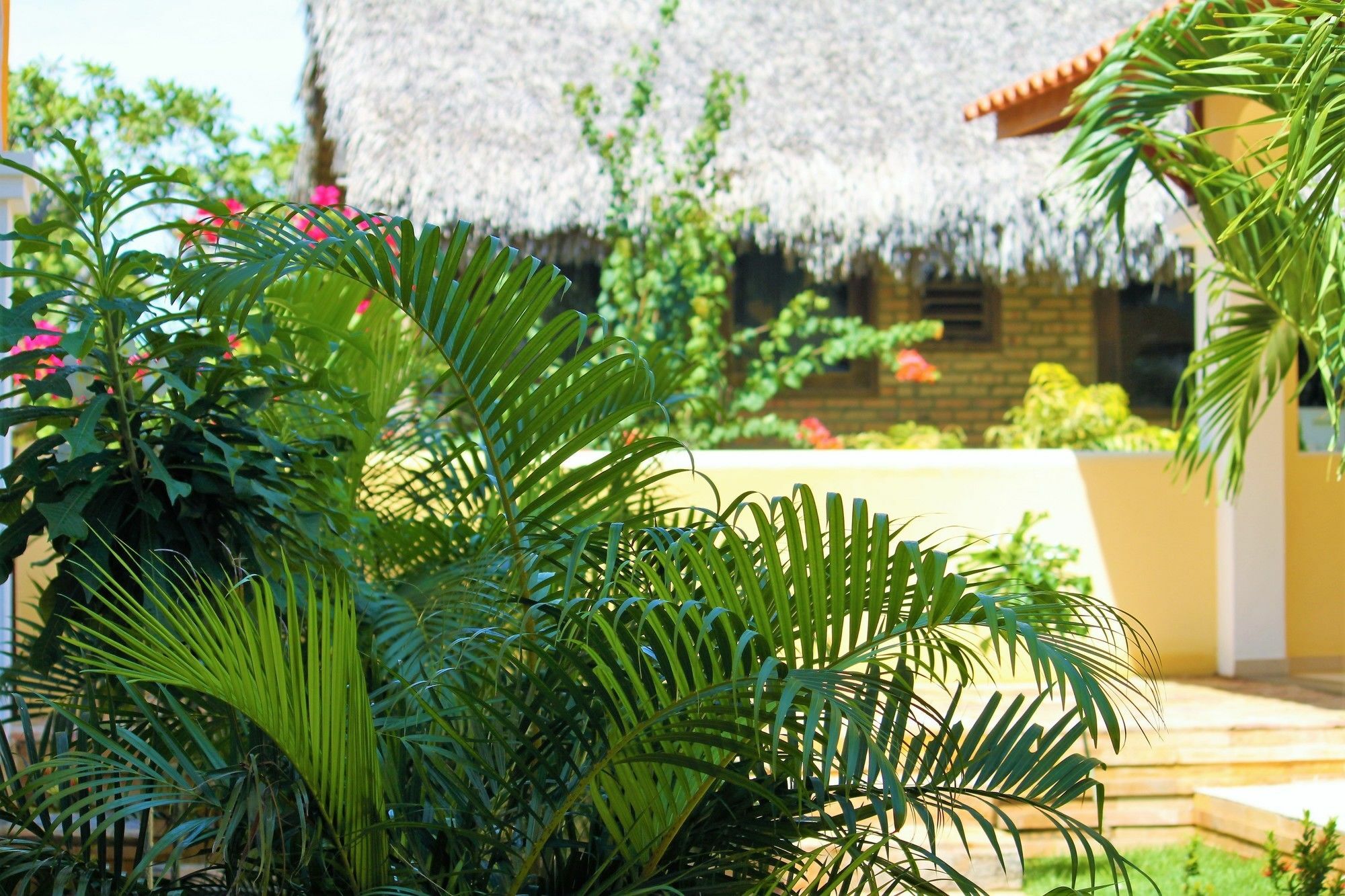 Hotel Villa Beija Flor ジジョーカ・デ・ジェリコアコアラ エクステリア 写真