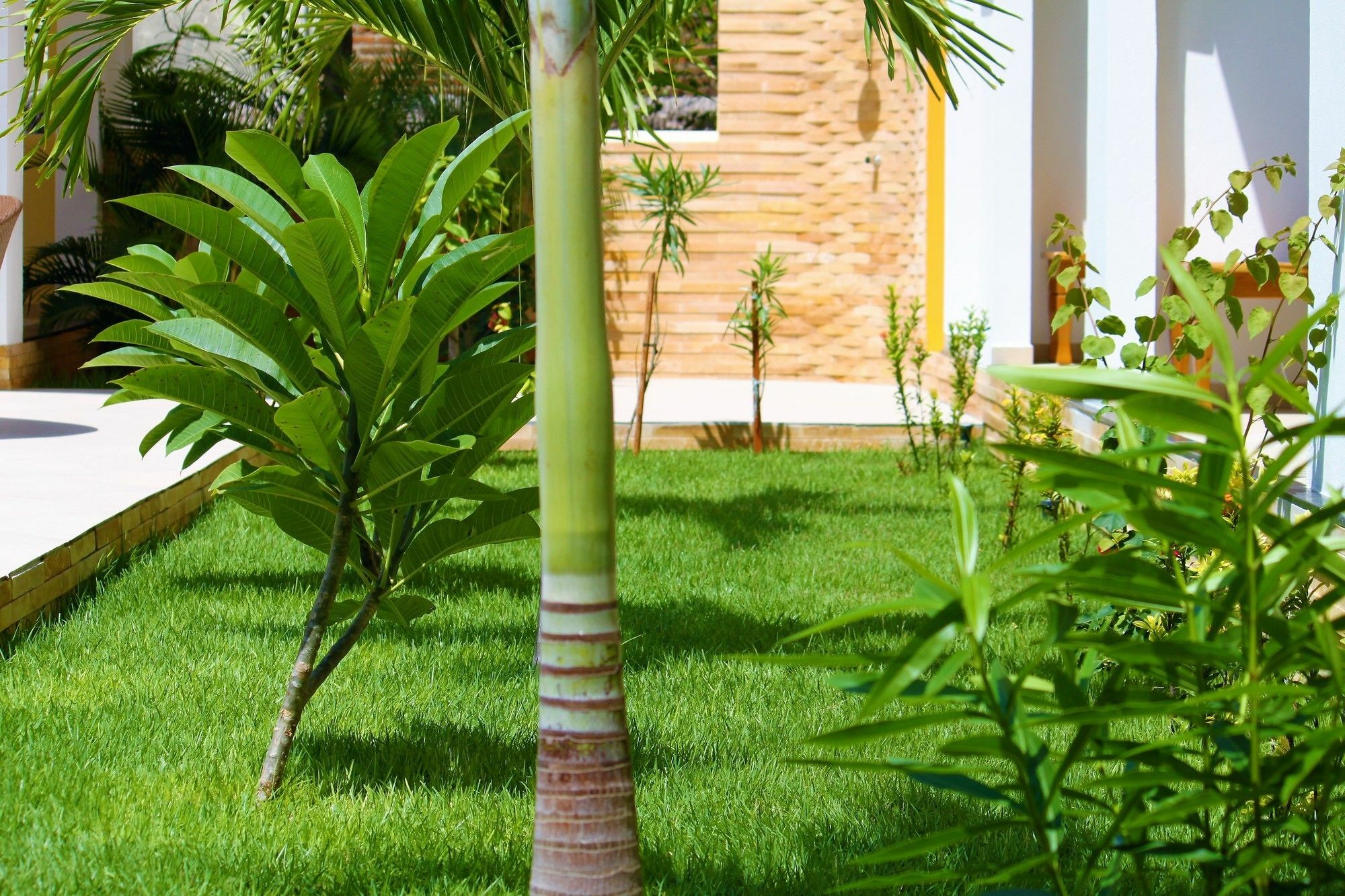 Hotel Villa Beija Flor ジジョーカ・デ・ジェリコアコアラ エクステリア 写真